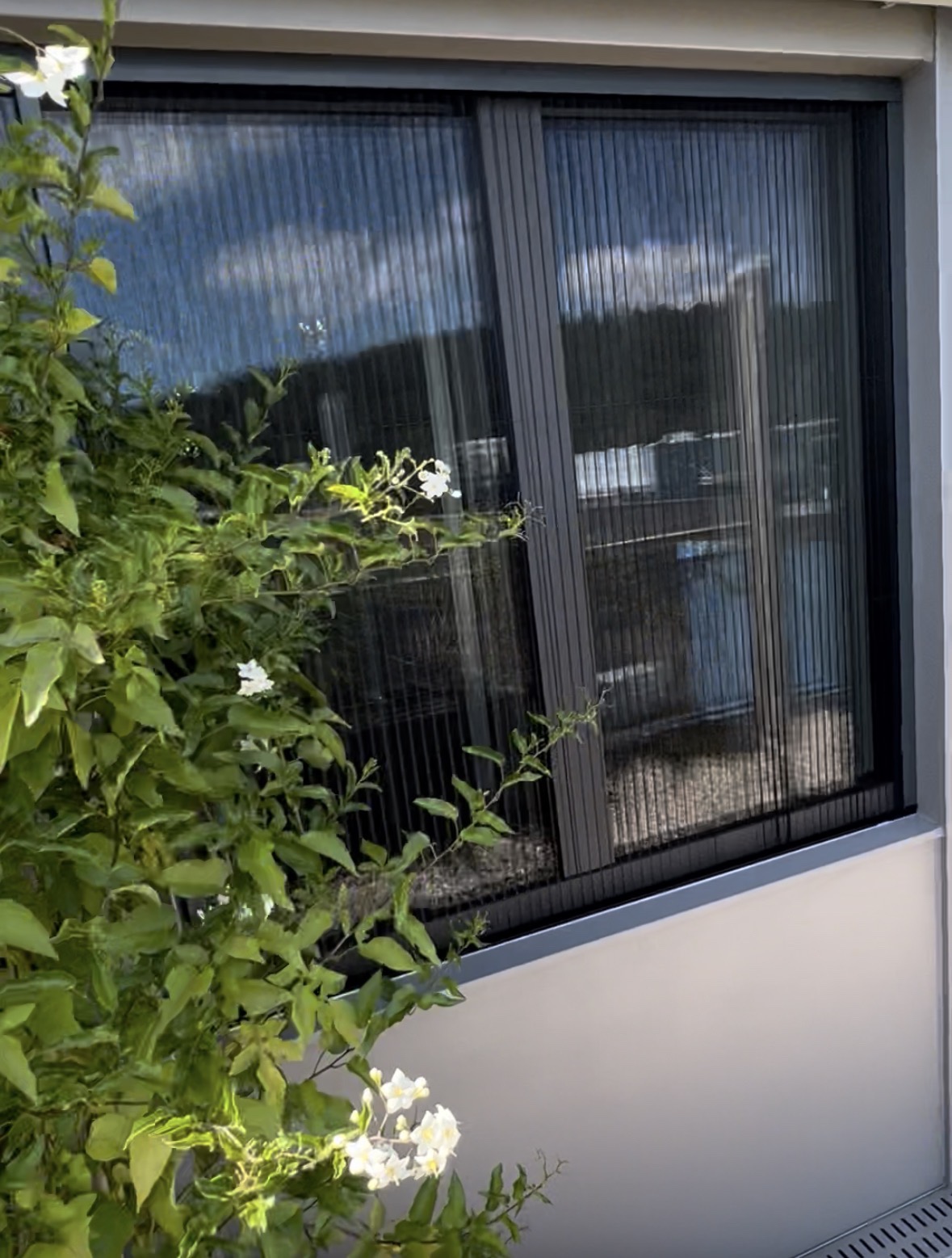GTT Insektenschutz Projekt 2