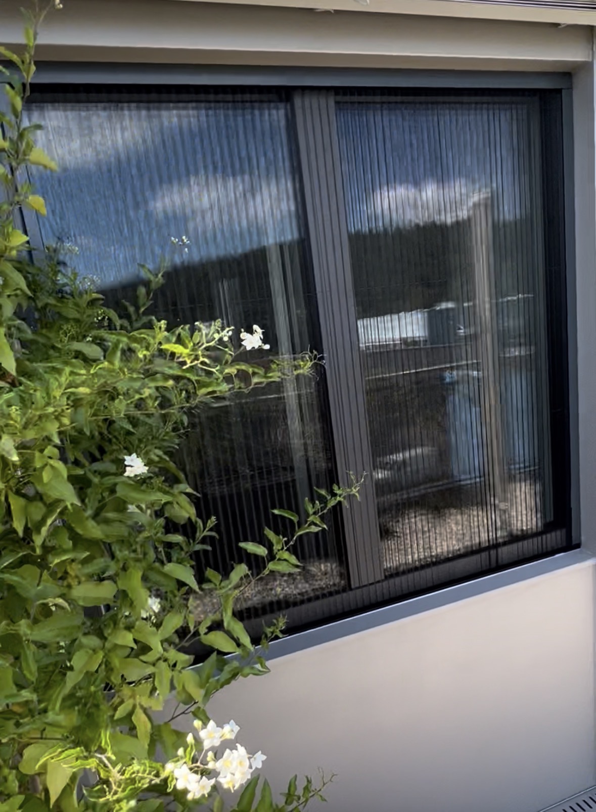 GTT Insektenschutz Projekt 5