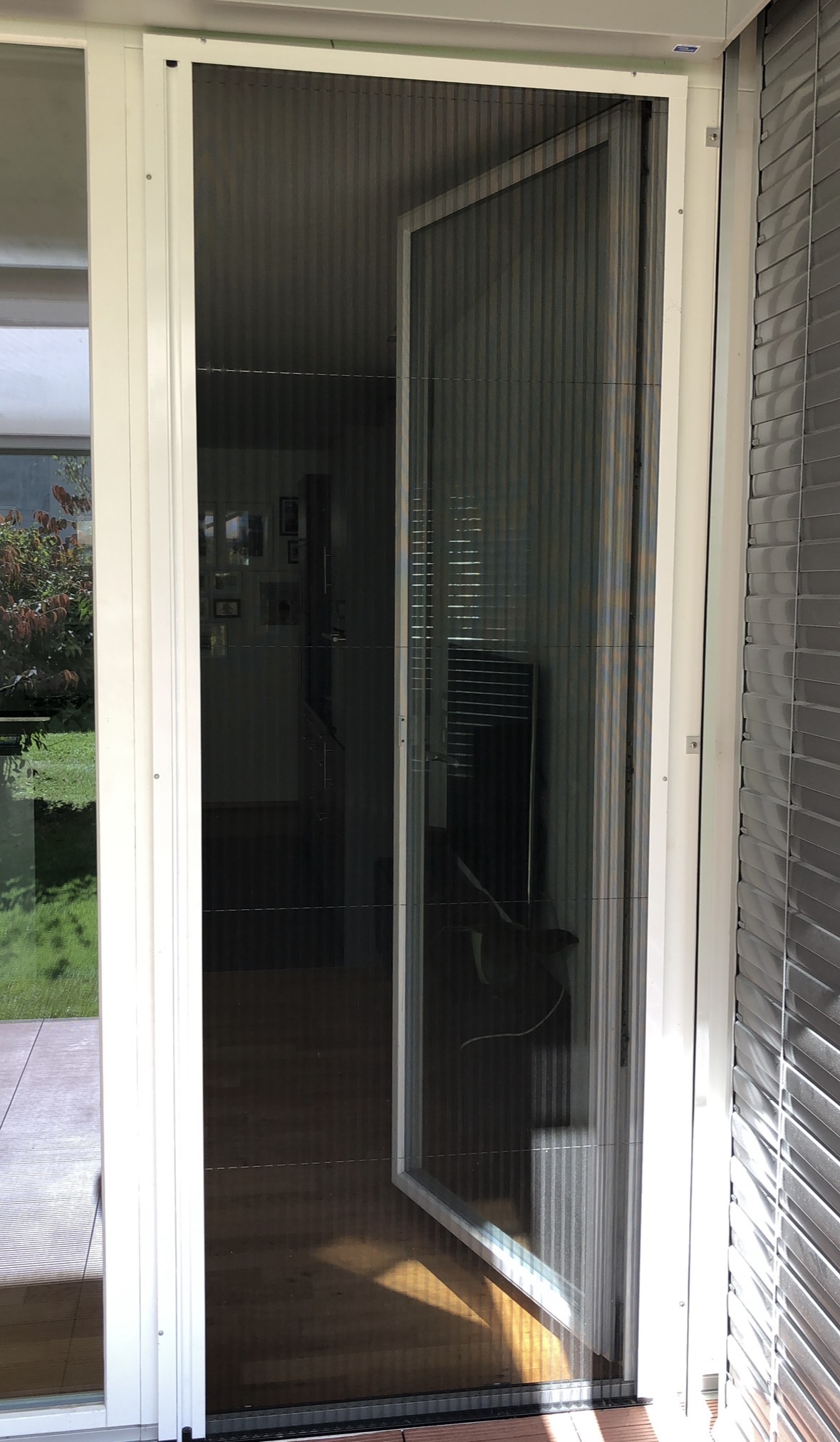 GTT Insektenschutz Projekt 10